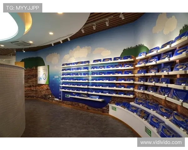 博鱼体育用户评价与口碑分析：真实用户体验与服务质量评测